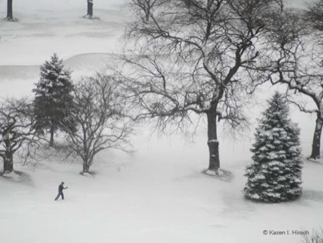 Cross country skier skiing through snow covered park.