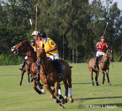 Polo players on galloping horses