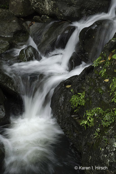 Waterfall, Puerto Rico rain forest